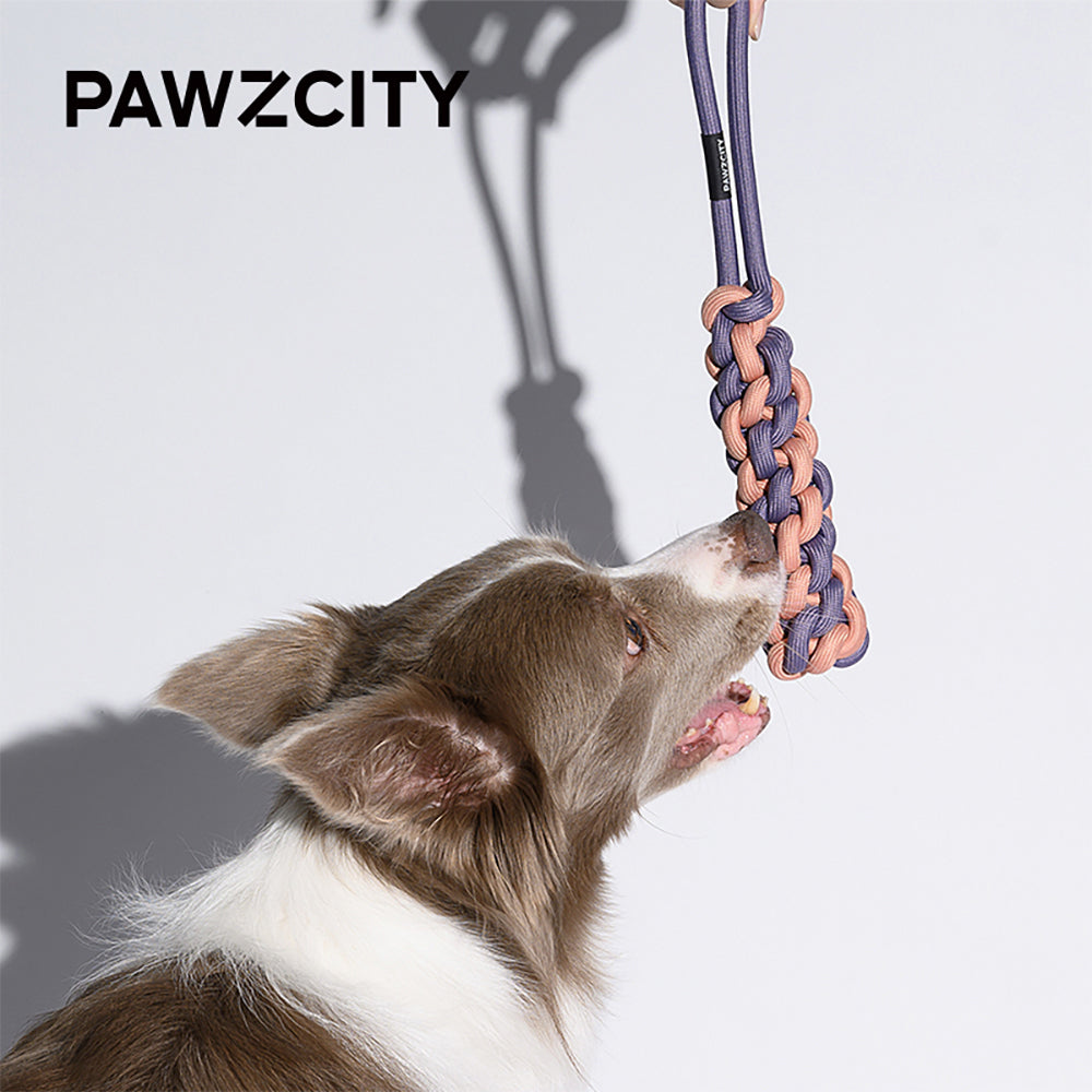 2PK Pawzcity 30cm Interactive Rope Stick w/ Loop Cat/Dog Toy - Taro