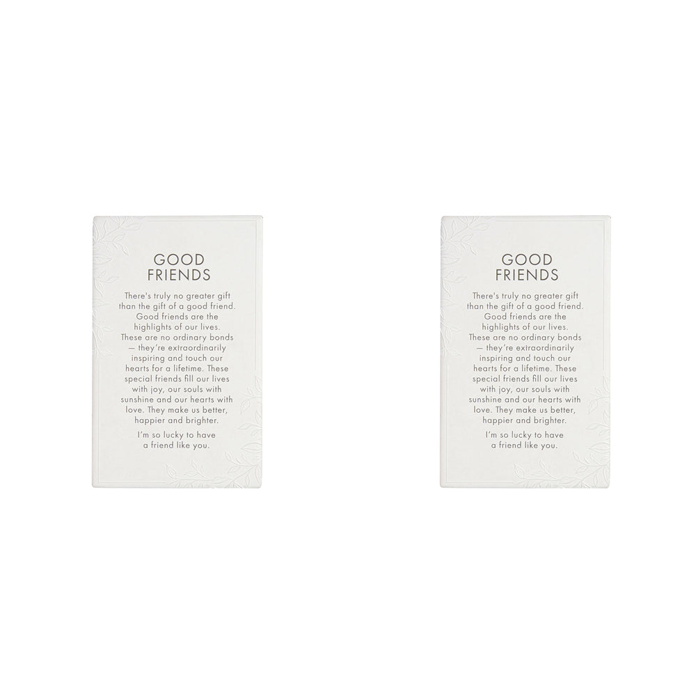2PK Splosh Precious Quote Good Friend Ceramic Standing/Hanging Decor White 16cm
