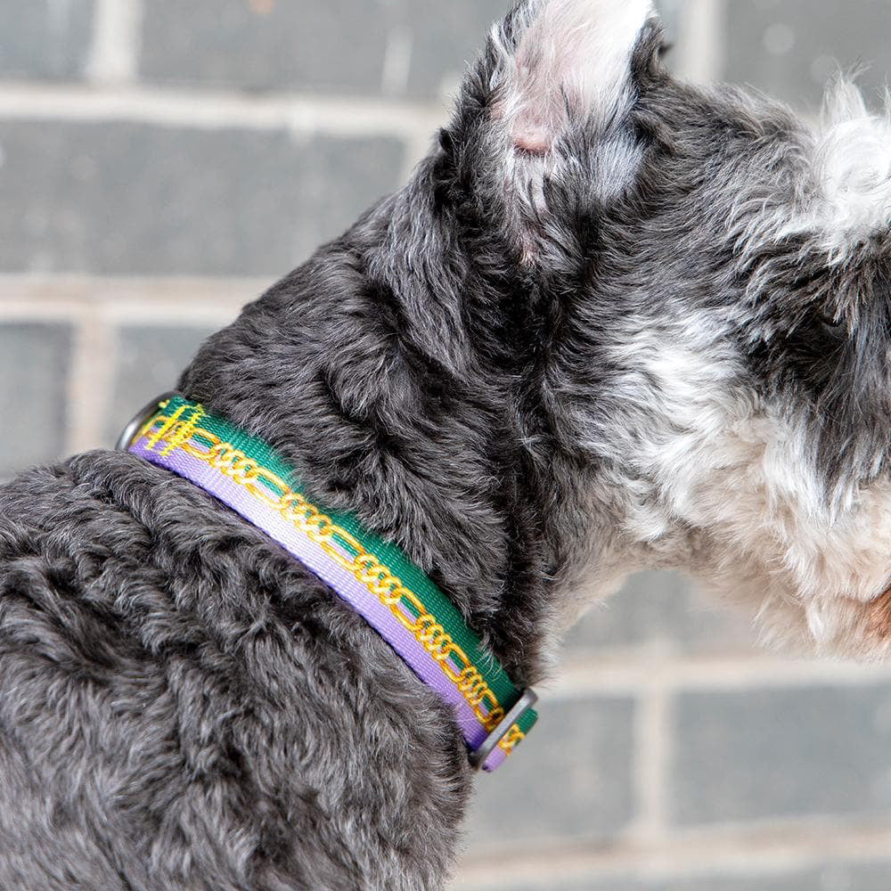 2x Pidan S2 Adjustable 24-38cm Pet Dog/Puppy Neck Strap/Collar