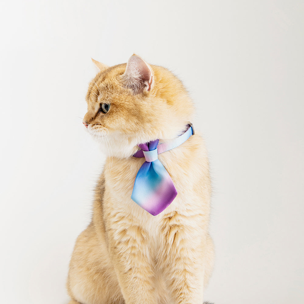 2x Pidan Adjustable 18-30cm Pet Cat Necktie - Purple Wave
