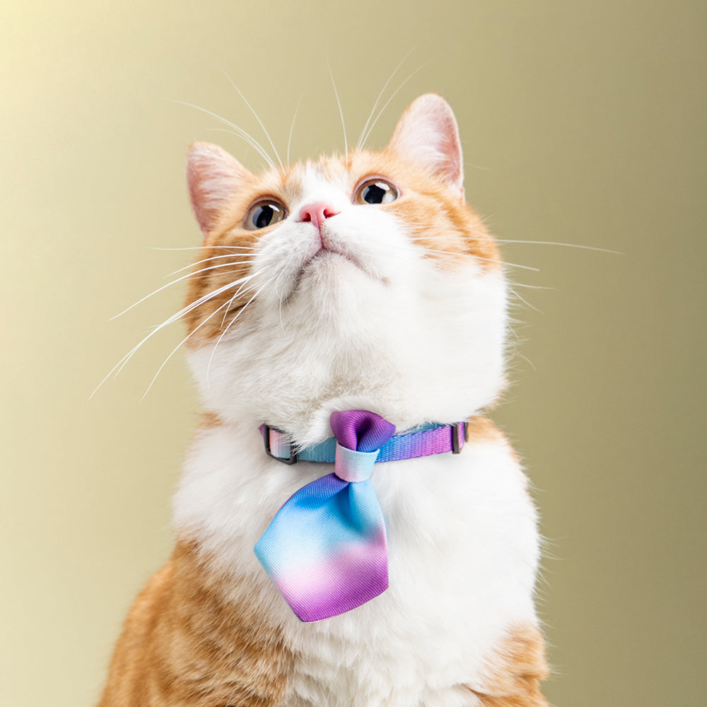 2x Pidan Adjustable 18-30cm Pet Cat Necktie - Purple Wave