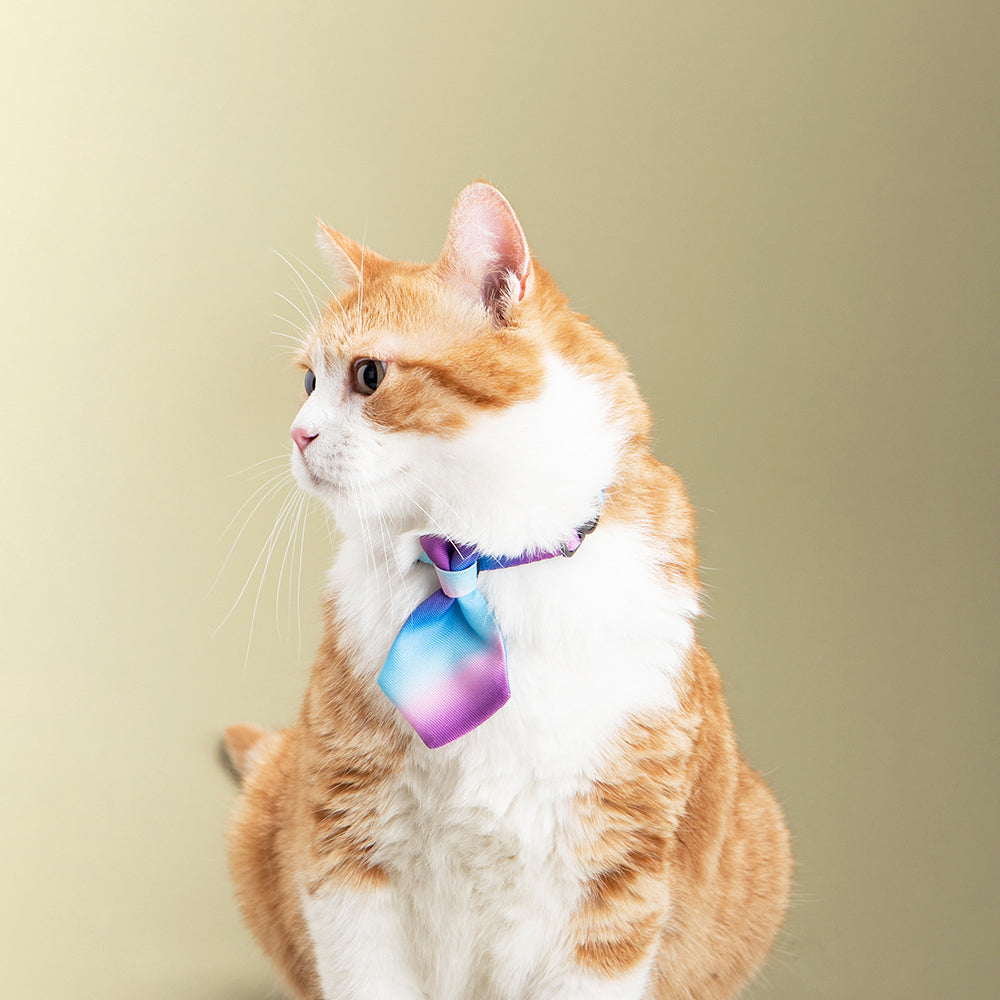 2x Pidan Adjustable 18-30cm Pet Cat Necktie - Purple Wave
