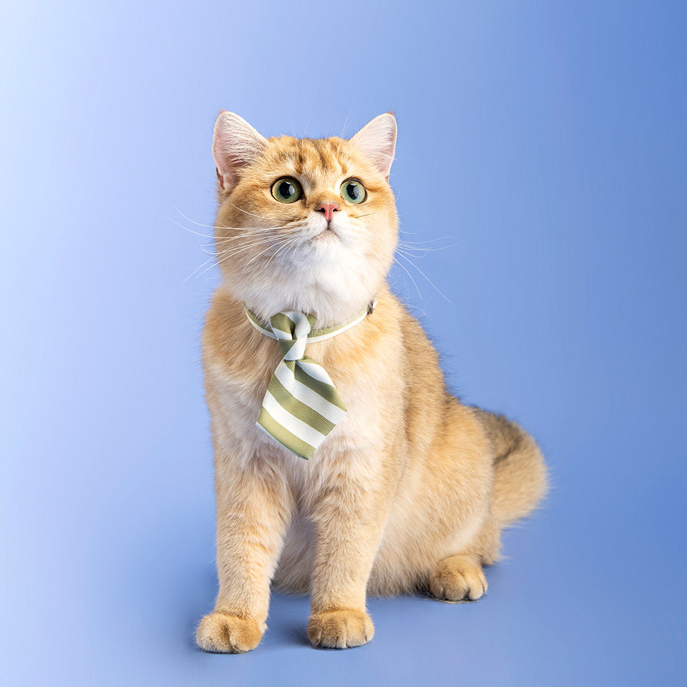 2x Pidan Adjustable 18-30cm Pet Cat Necktie - Green Stripe