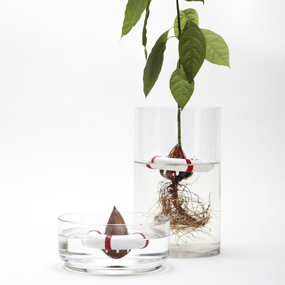 Pelegdesign Seed Guard Planter Buoy Seed Growing Device