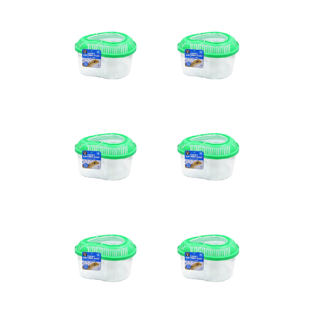 6PK Dudley's World Of Pets Reptile/Critter Tank Small Assorted 21x13cm