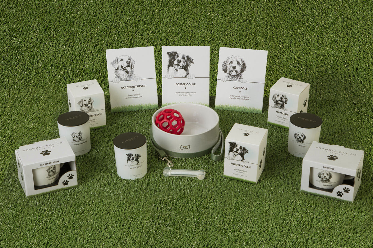 2PK Bramble Bay Staffordshire Bull Terrier Soy Candle Home Fragrance 300g