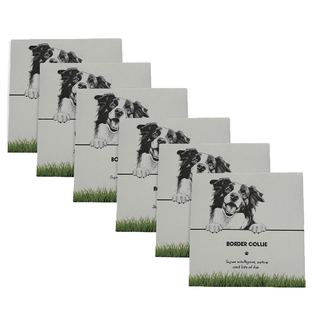 6PK Bramble Bay Pet Kitchen Coaster Border Collie Dog Lover Gift 11x11cm
