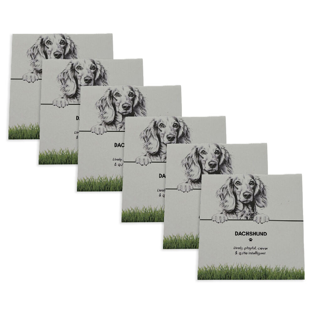 6PK Bramble Bay Pet Kitchen Coaster Dachshund Dog Lover Gift 11x11cm