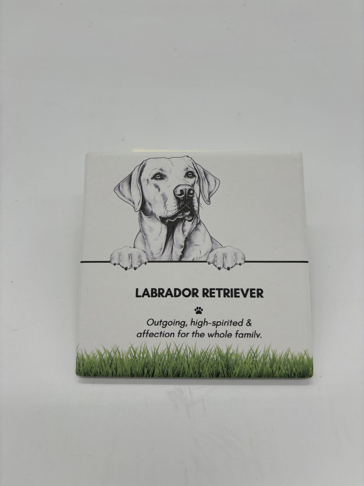 6PK Bramble Bay Pet Kitchen Coaster Labrador Retriever Dog Lover Gift 11x11cm