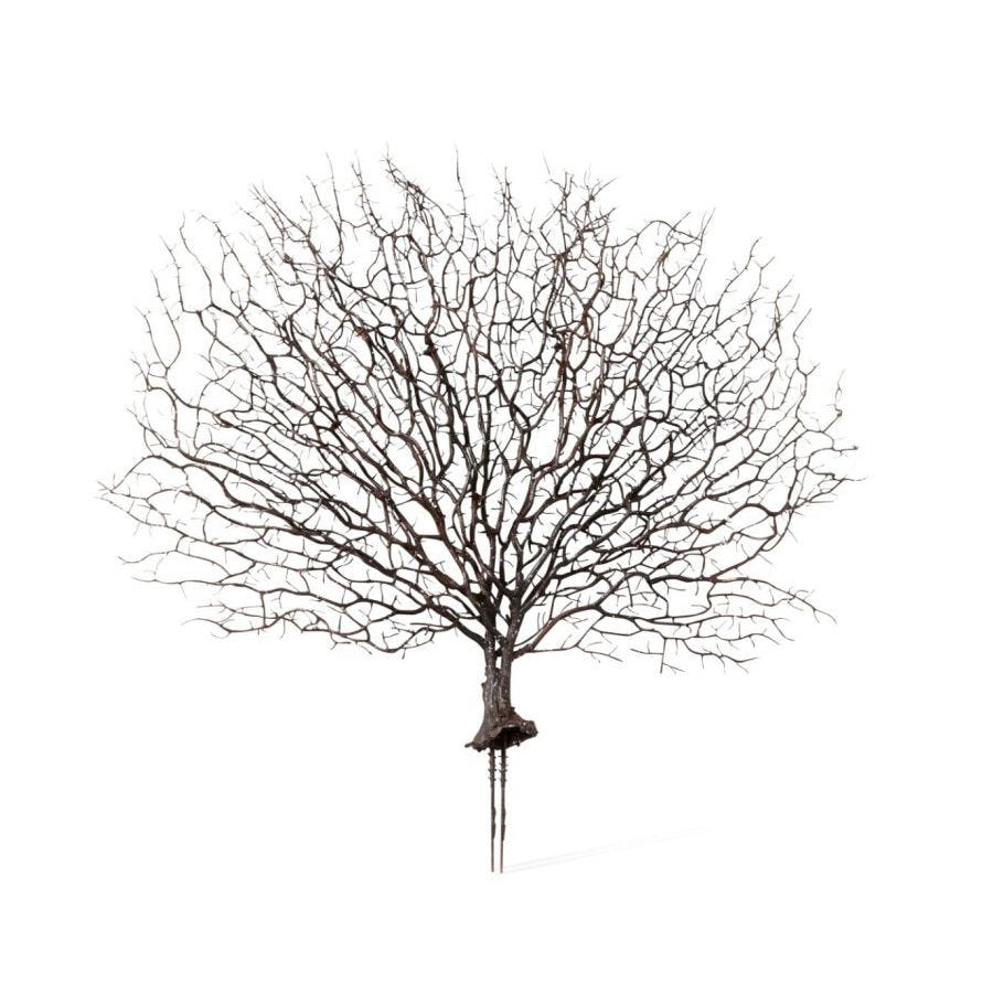 2PK E Style Artificial 48cm Plastic Coral Fan Sea Plant - Brown