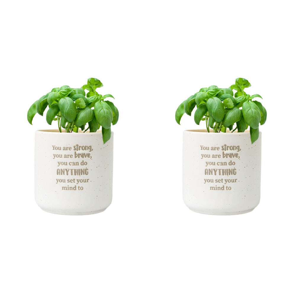 2PK Splosh Strong Positive Ceramic Plant Pot 10x10cm - White