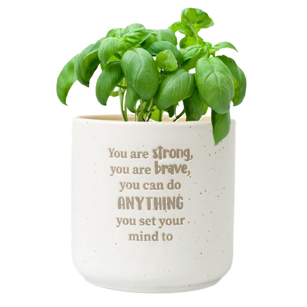2PK Splosh Strong Positive Ceramic Plant Pot 10x10cm - White