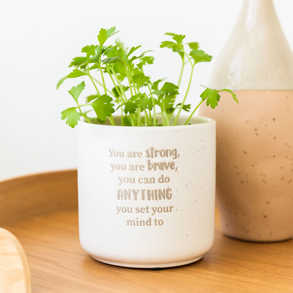 2PK Splosh Strong Positive Ceramic Plant Pot 10x10cm - White