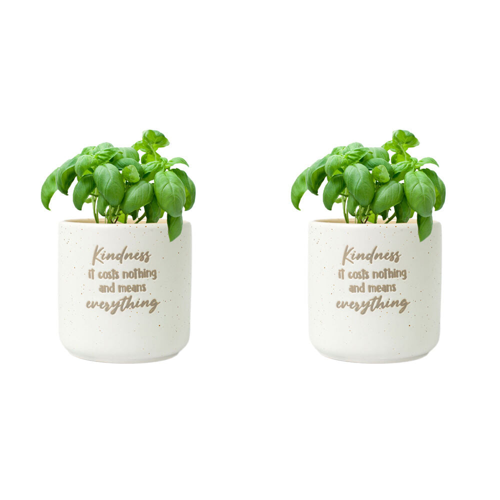 2PK Splosh Kindness Positive Ceramic Plant Pot 10x10cm - White