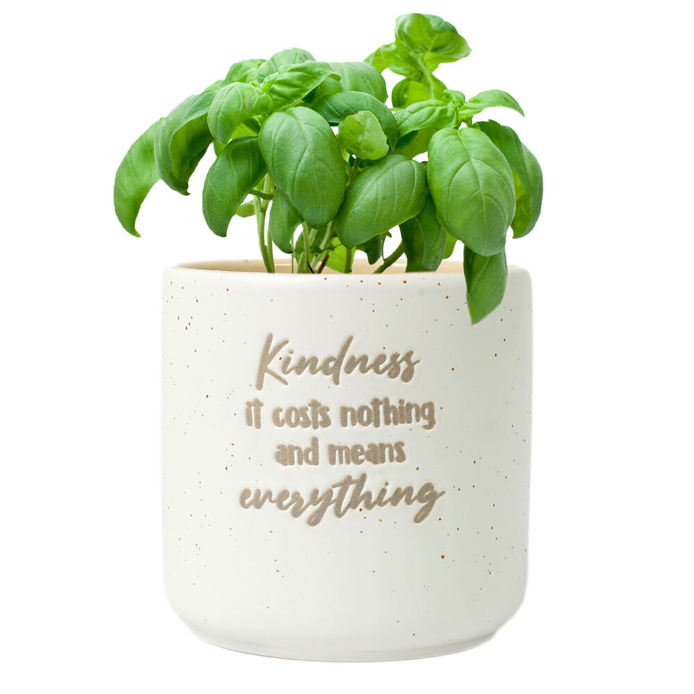 2PK Splosh Kindness Positive Ceramic Plant Pot 10x10cm - White