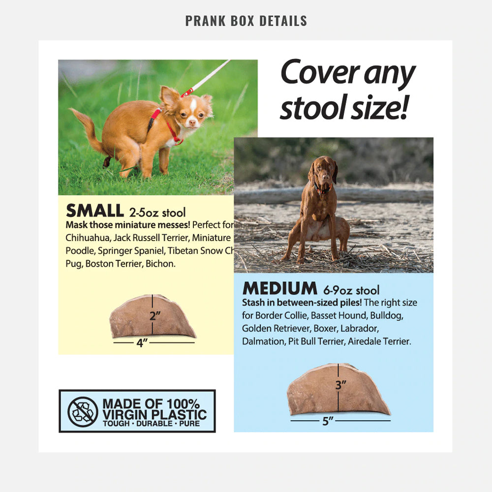 Prank-O Prank Empty Gift Box 23x28.5cm - Hide-A-Poo