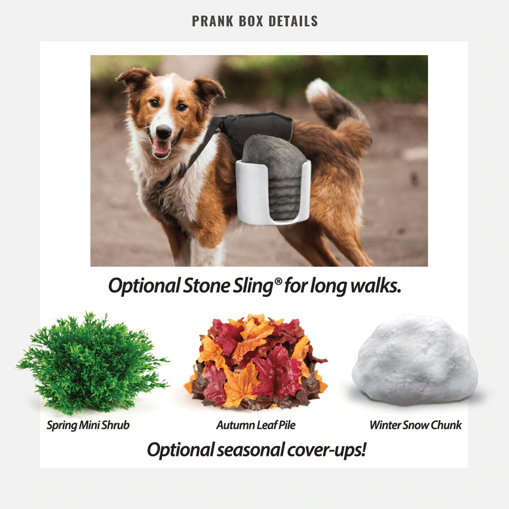 Prank-O Prank Empty Gift Box 23x28.5cm - Hide-A-Poo