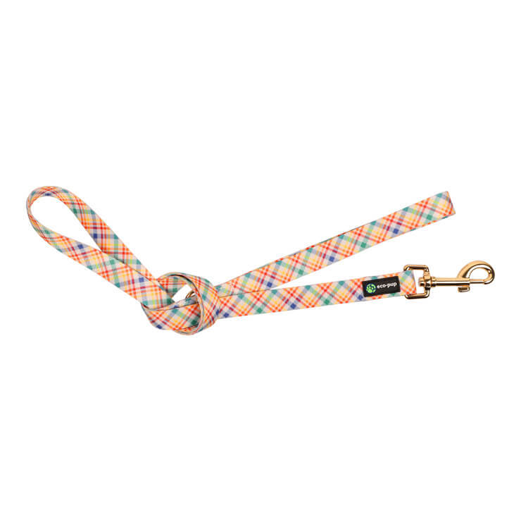 2PK Eco-Pup Dog Walking Lead/Leash 120cm Narrow 20mm Check