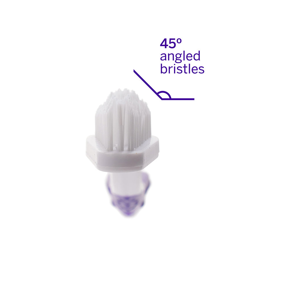 Petsmile Professional Patented 45° Dual-Ended Nylon Brush Head Pet Toothbrush
