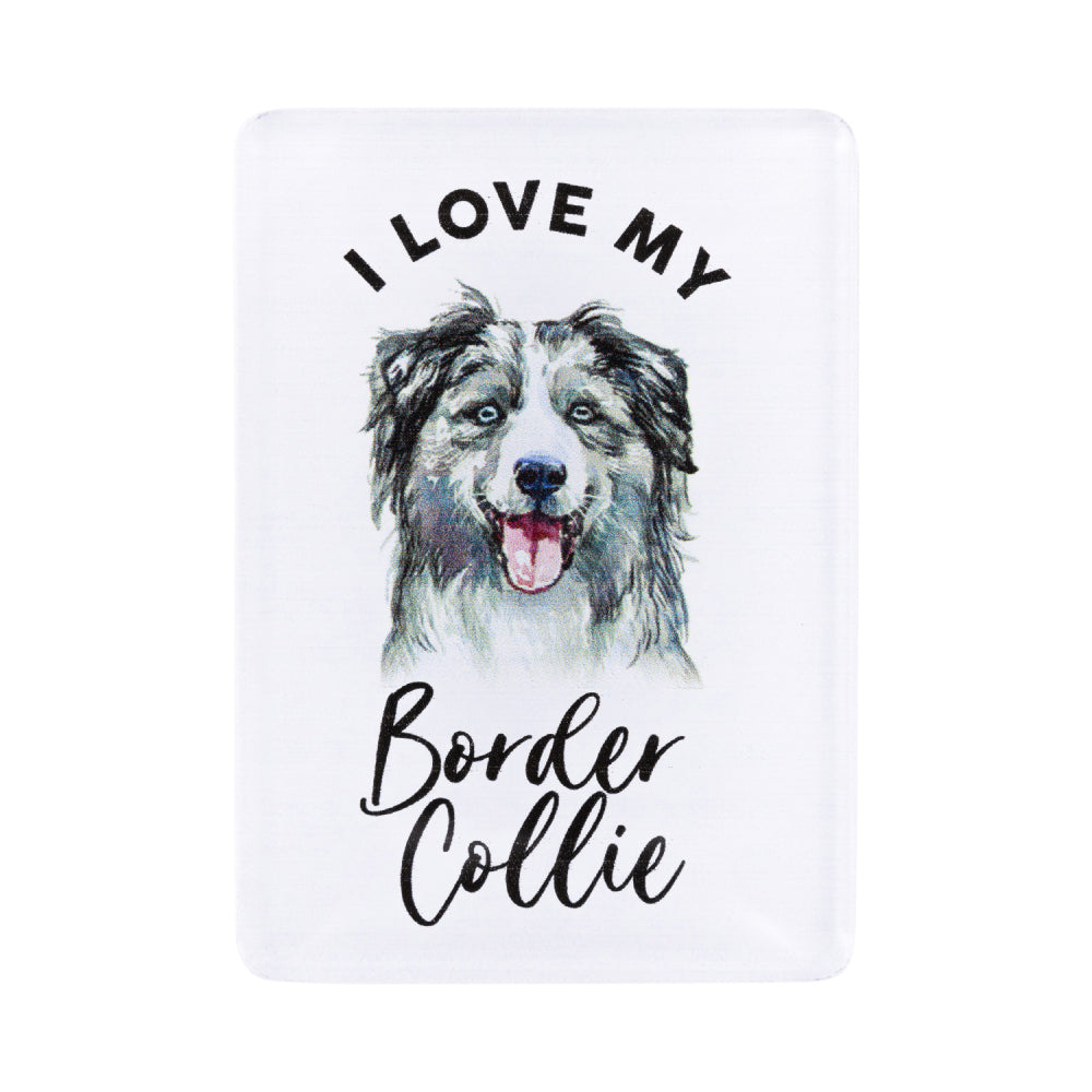 6PK Splosh Pet Lovers Border Collie Acrylic Magnet Decor 7x5cm