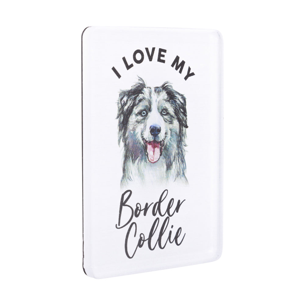 6PK Splosh Pet Lovers Border Collie Acrylic Magnet Decor 7x5cm