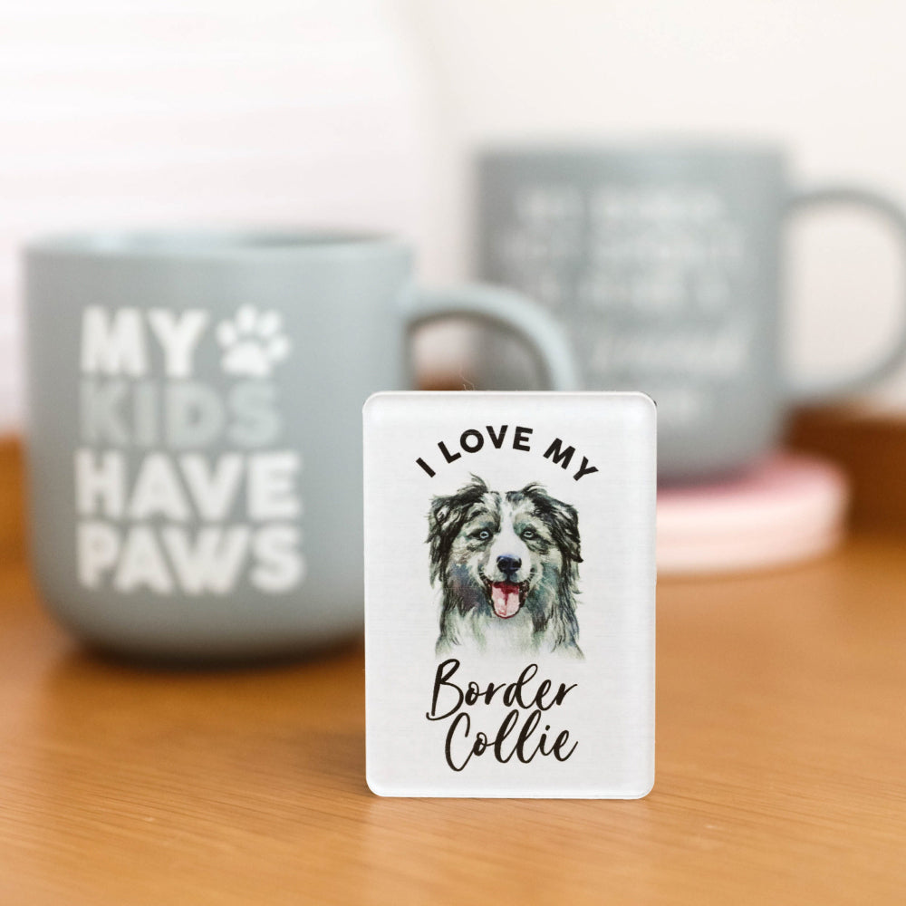 6PK Splosh Pet Lovers Border Collie Acrylic Magnet Decor 7x5cm