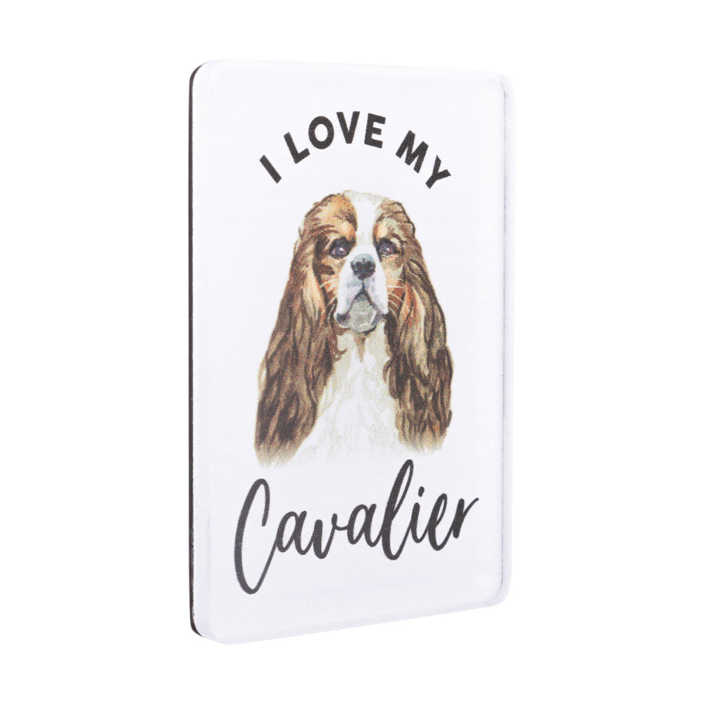 6PK Splosh Pet Lovers Cavalier Acrylic Magnet Decor 7x5cm