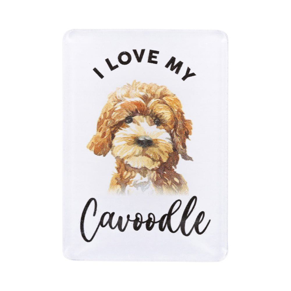 6PK Splosh Pet Lovers Cavoodle Acrylic Magnet Decor 7x5cm