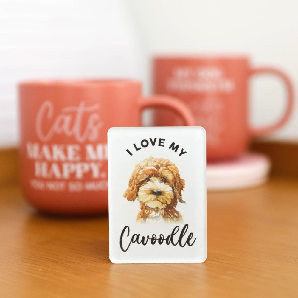 6PK Splosh Pet Lovers Cavoodle Acrylic Magnet Decor 7x5cm