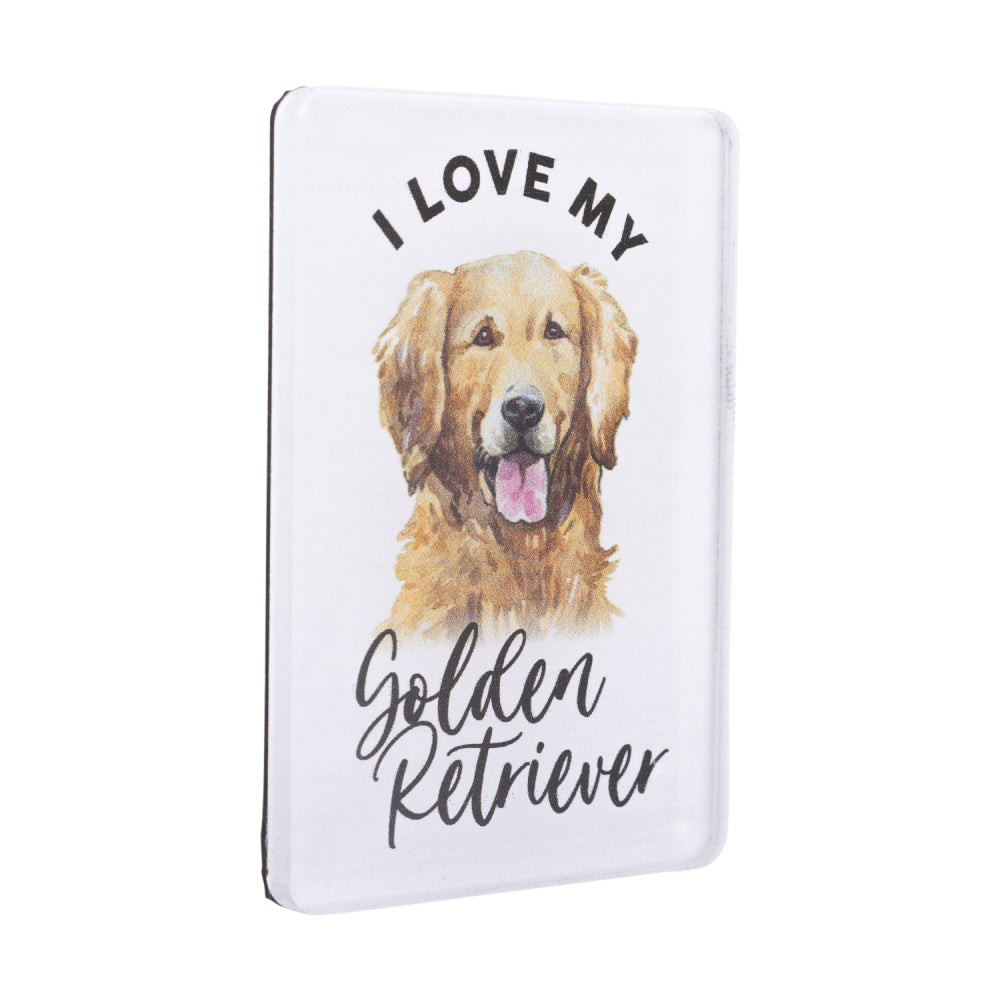 6PK Splosh Pet Lovers Golden Retriever Acrylic Magnet Decor 7x5cm