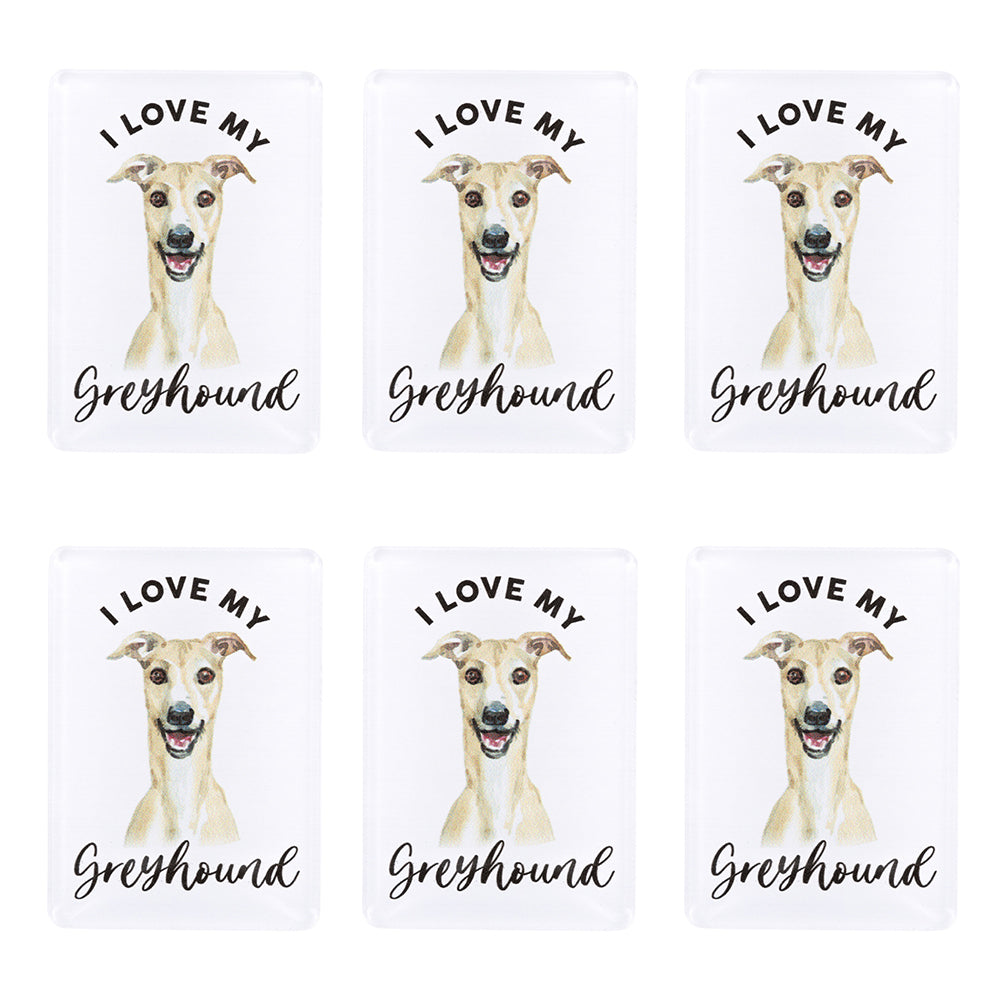 6PK Splosh Pet Lovers Greyhound Acrylic Magnet Decor 7x5cm