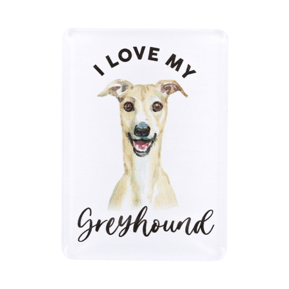 6PK Splosh Pet Lovers Greyhound Acrylic Magnet Decor 7x5cm