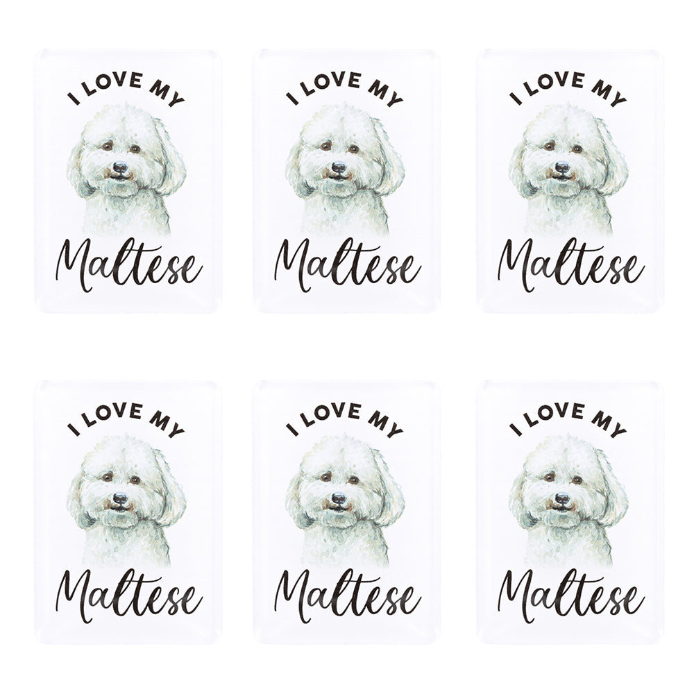 6PK Splosh Pet Lovers Maltese 7cm Acrylic Magnet Fridge Decor - White