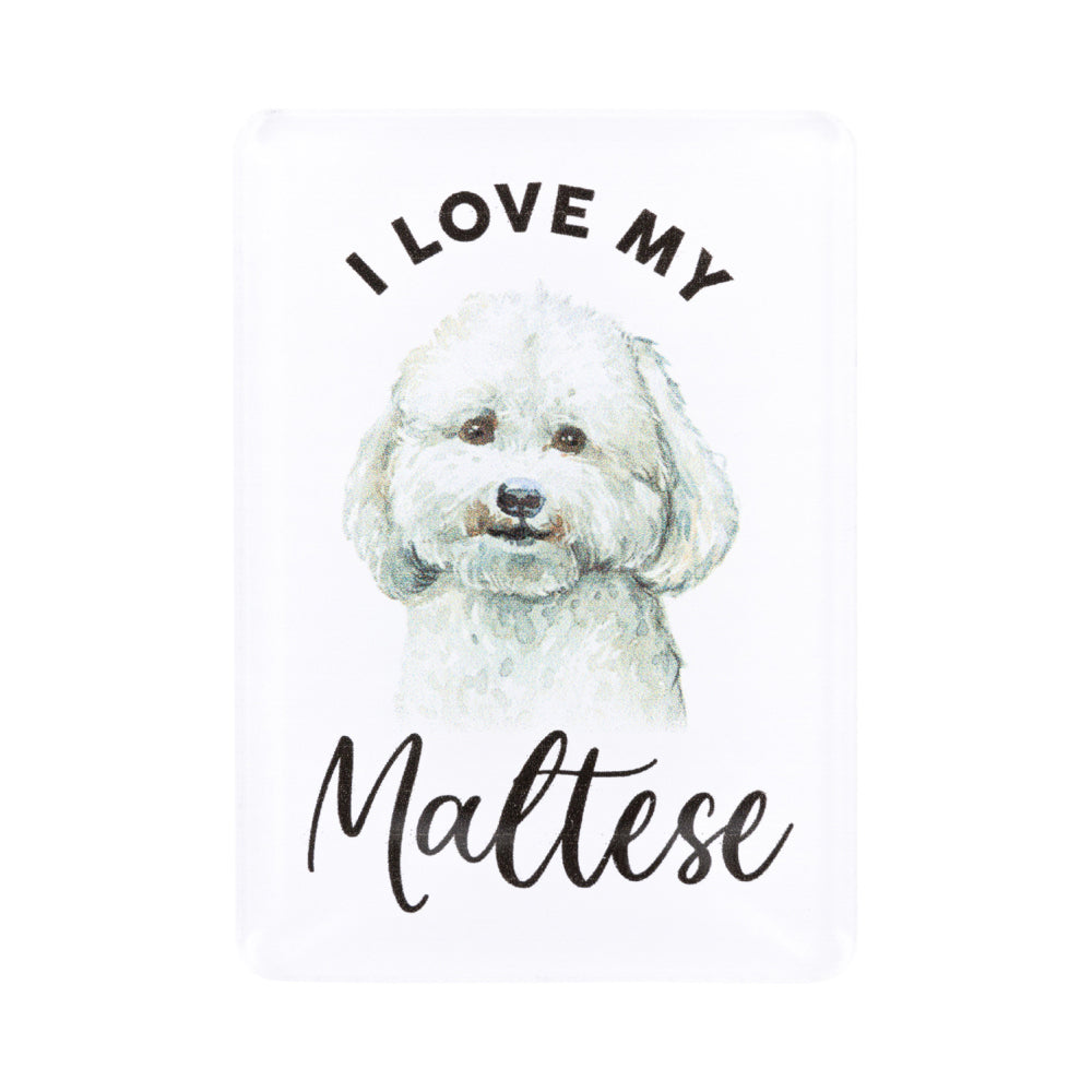 6PK Splosh Pet Lovers Maltese 7cm Acrylic Magnet Fridge Decor - White