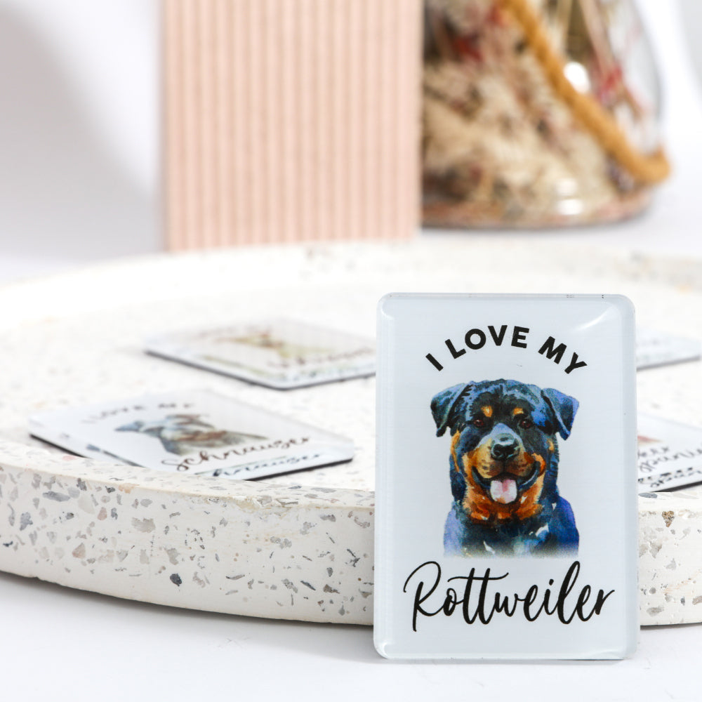 6PK Splosh Pet Lovers Rottweiler 7cm Acrylic Magnet Fridge Decor - White