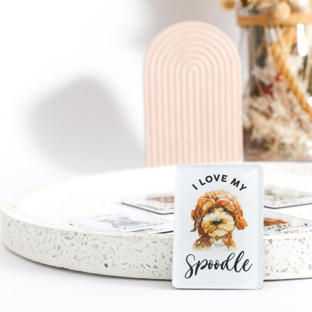 6PK Splosh Pet Lovers Spoodle 7cm Acrylic Magnet Fridge Decor - White