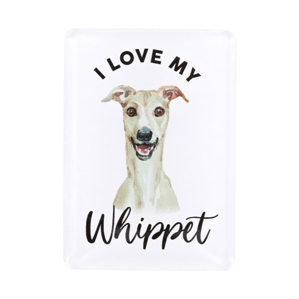6PK Splosh Pet Lovers Whippet 7cm Acrylic Magnet Fridge Decor - White
