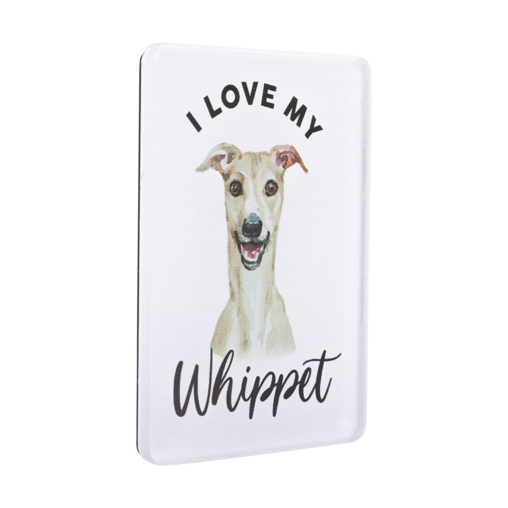 6PK Splosh Pet Lovers Whippet 7cm Acrylic Magnet Fridge Decor - White
