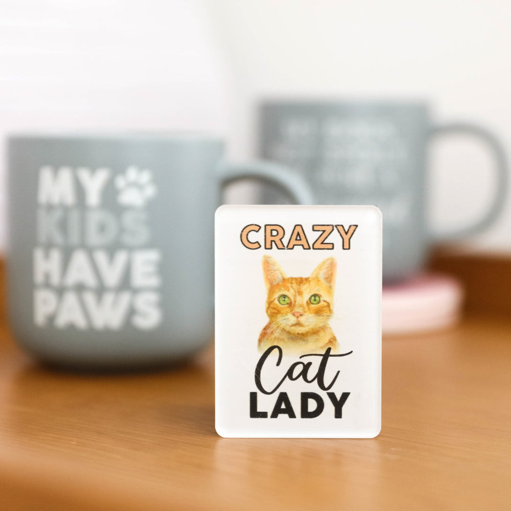 6PK Splosh Pet Lovers Crazy Cat Lady 7cm Acrylic Magnet Fridge Decor - White