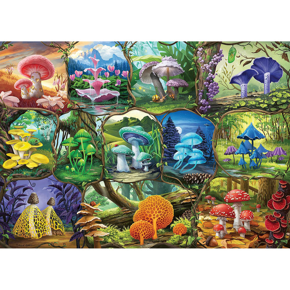 1000pc Ravensburger Beautiful Mushrooms Adults Jigsaw Puzzle