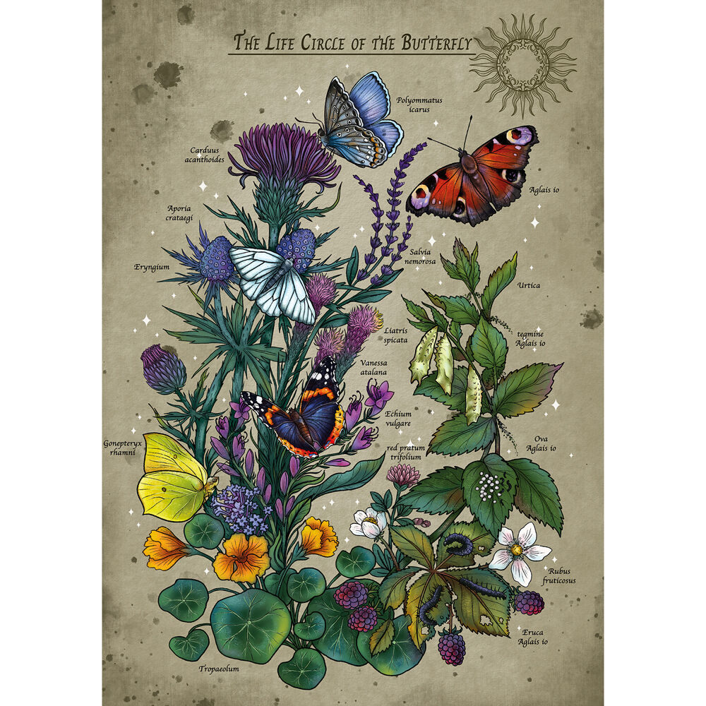 1000pc Ravensburger AT Lifecircle Butterfly Jigsaw Puzzle Game 14y+