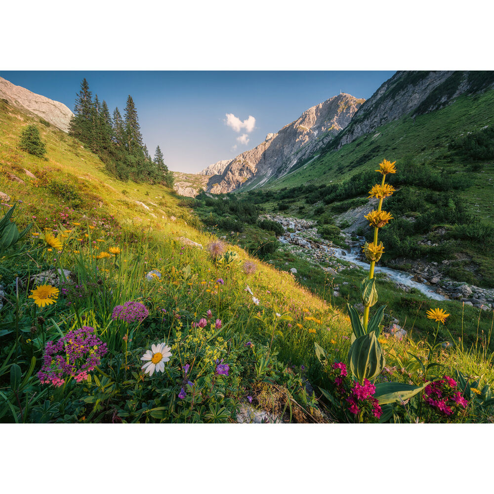 1000pc Ravensburger Magical Valley Jigsaw Puzzle 70x50cm 12y+