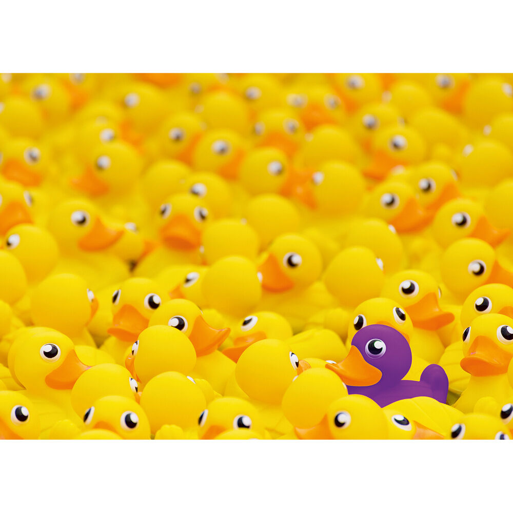 1000pc Ravensburger Rubber Ducks Jigsaw Puzzle 70x50cm 12y+