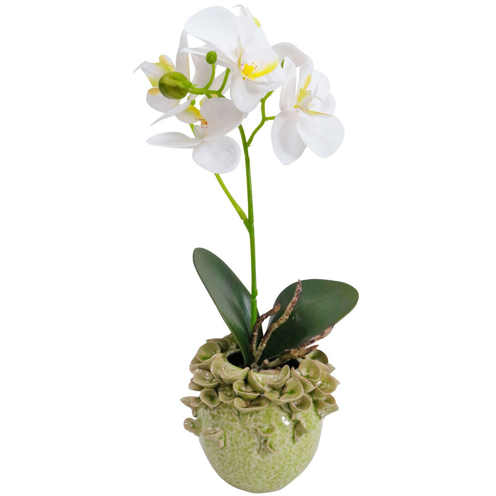 2PK LVD Ceramic Planter/Vase Home Decor 11.5cm Petite Pear