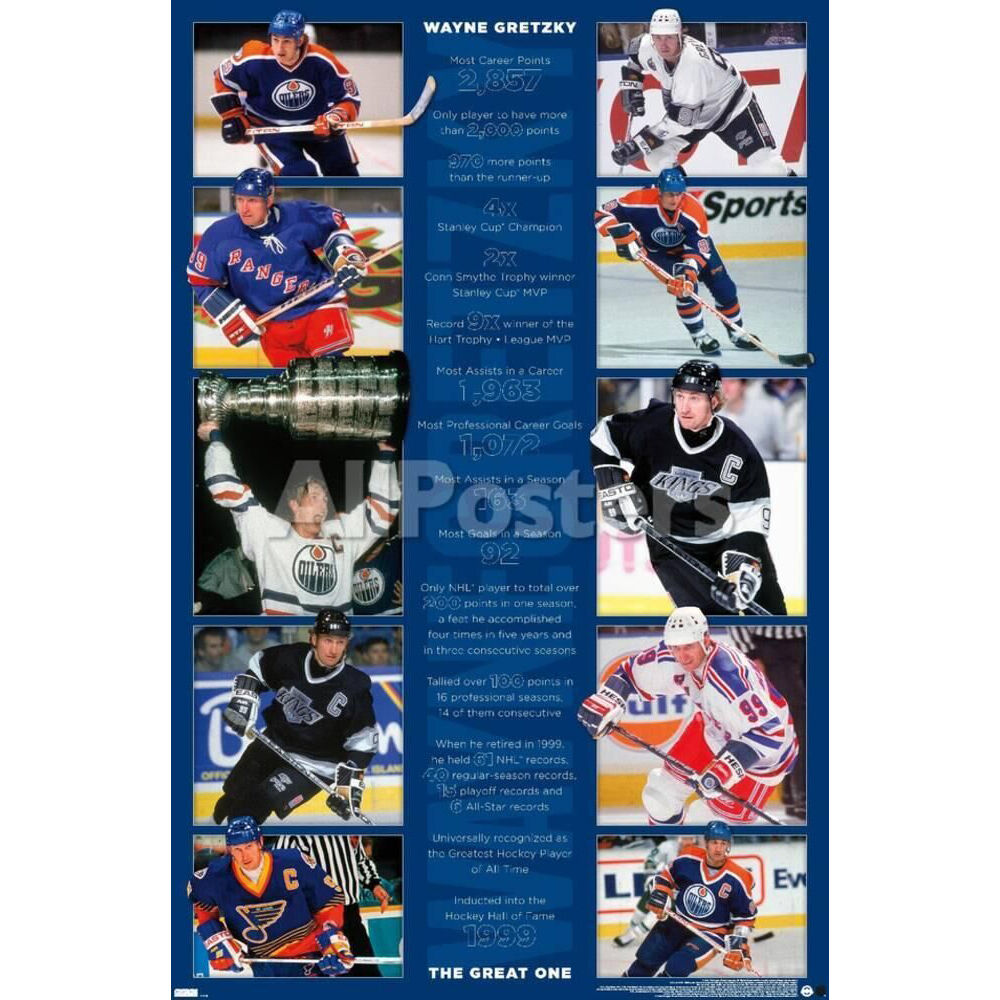 Impact Merch Wayne Gretzky Stats Poster Wall Decor 91x61cm