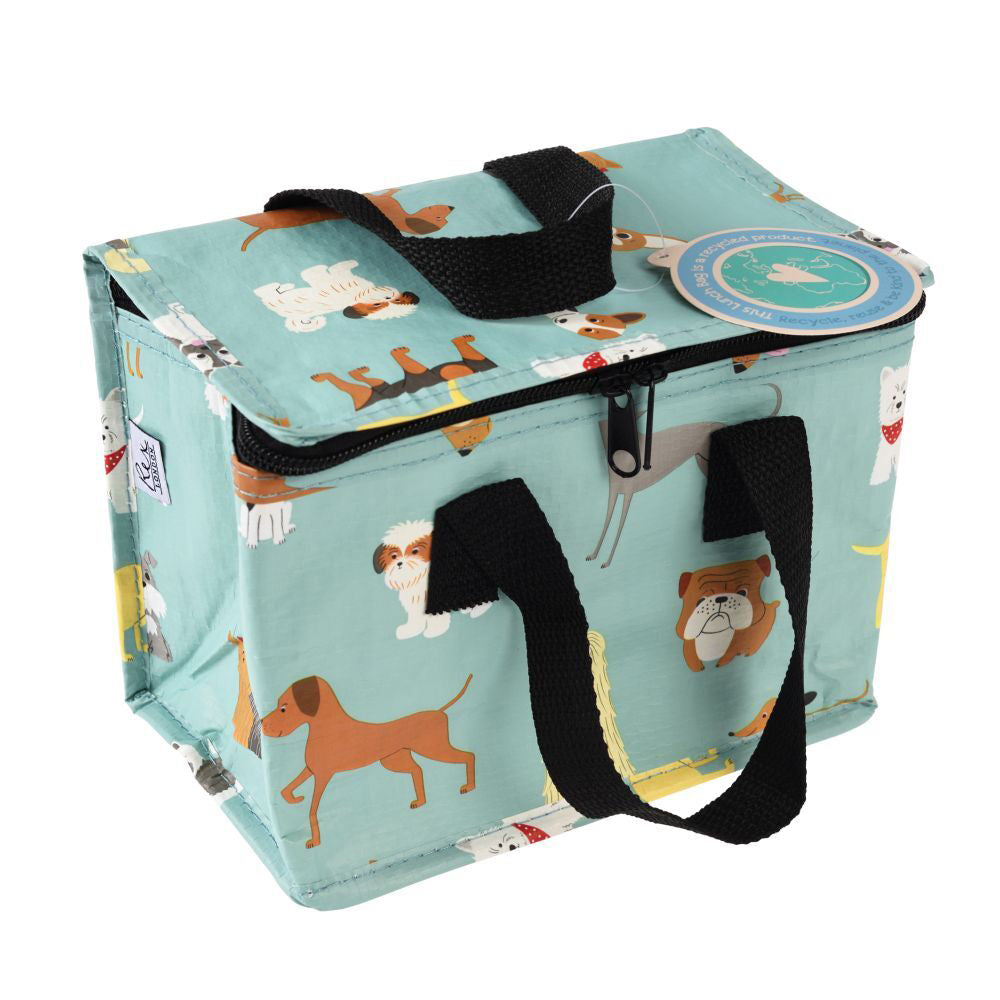 3PK Rex London Kids Insulated Lunch Bag 21x16cm - Best In Show
