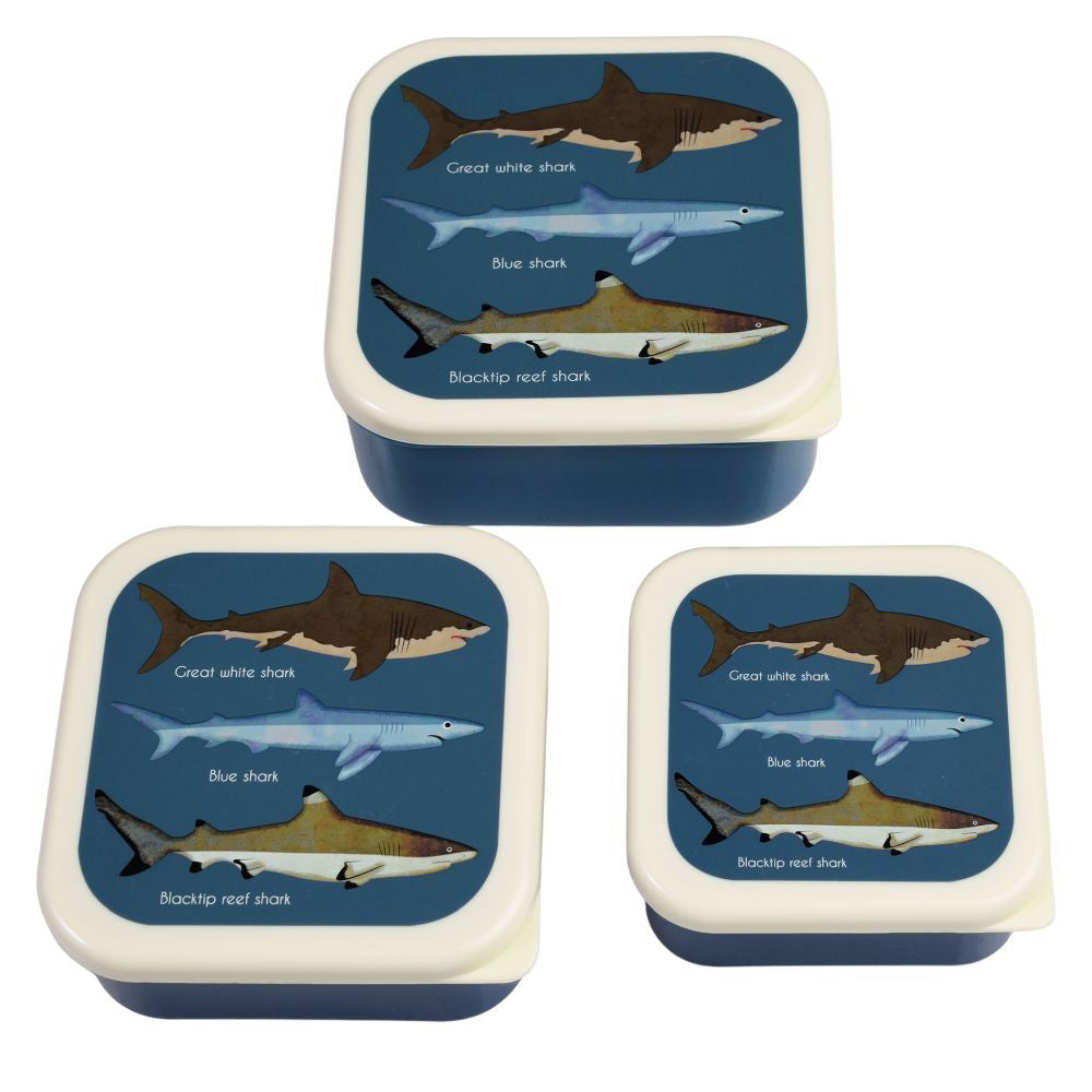 3pc Rex London Kids Plastic Snack Box Square Set - Sharks