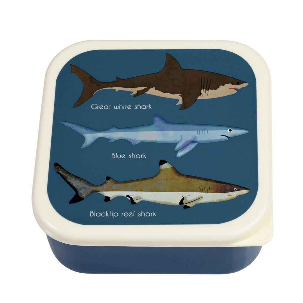 3pc Rex London Kids Plastic Snack Box Square Set - Sharks