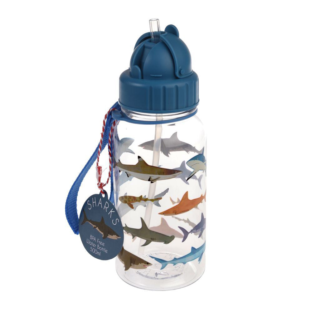 2PK Rex London Kids/Child 500ml Plastic Water Bottle - Sharks