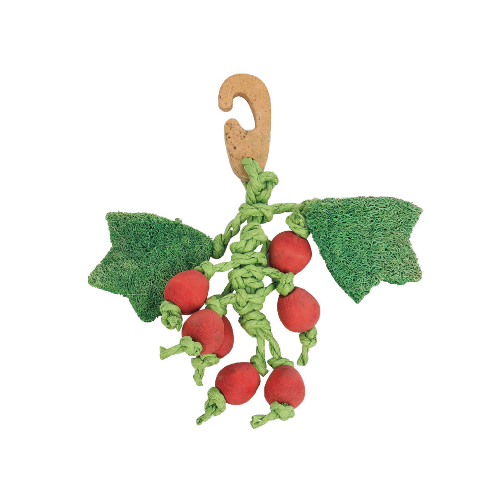 3PK Nature Island Berry Nibbler Small Animal Rabbit/Guinea Pig Play Toy